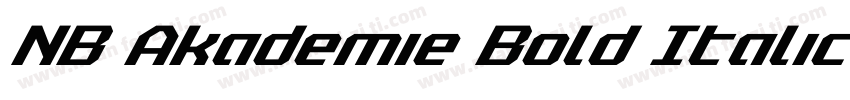 NB Akademie Bold Italic字体转换